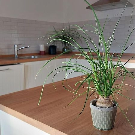 Ferienwohnung Stern Unterthingau Bagian luar foto