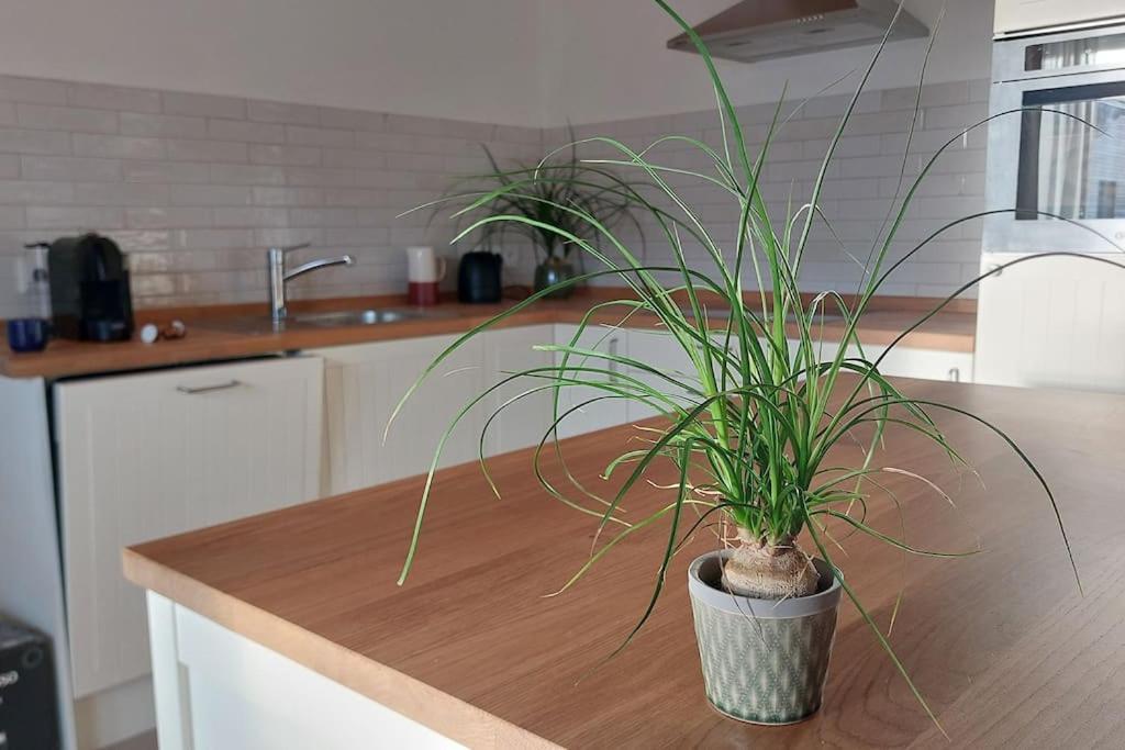 Ferienwohnung Stern Unterthingau Bagian luar foto